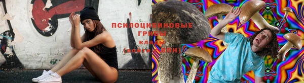 гидропоника Алзамай