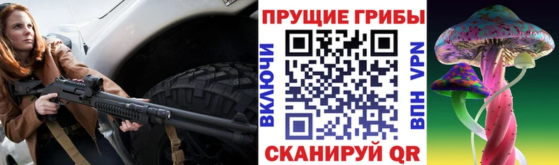 Псилоцибиновые грибы Psilocybe  Новоузенск 